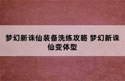 梦幻新诛仙装备洗练攻略 梦幻新诛仙变体型